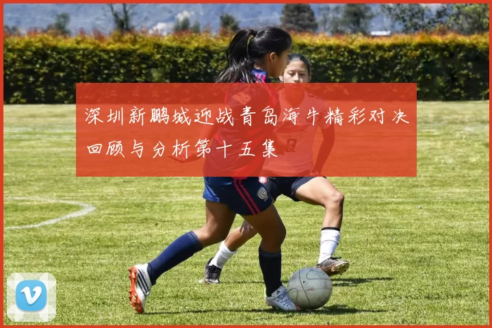 深圳新鹏城迎战青岛海牛精彩对决回顾与分析第十五集