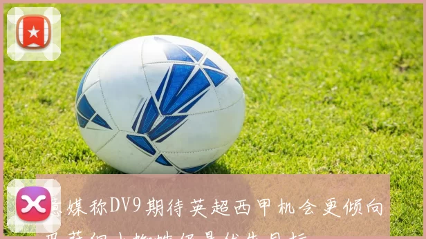 意媒称DV9期待英超西甲机会更倾向巴萨但小蜘蛛仍是优先目标