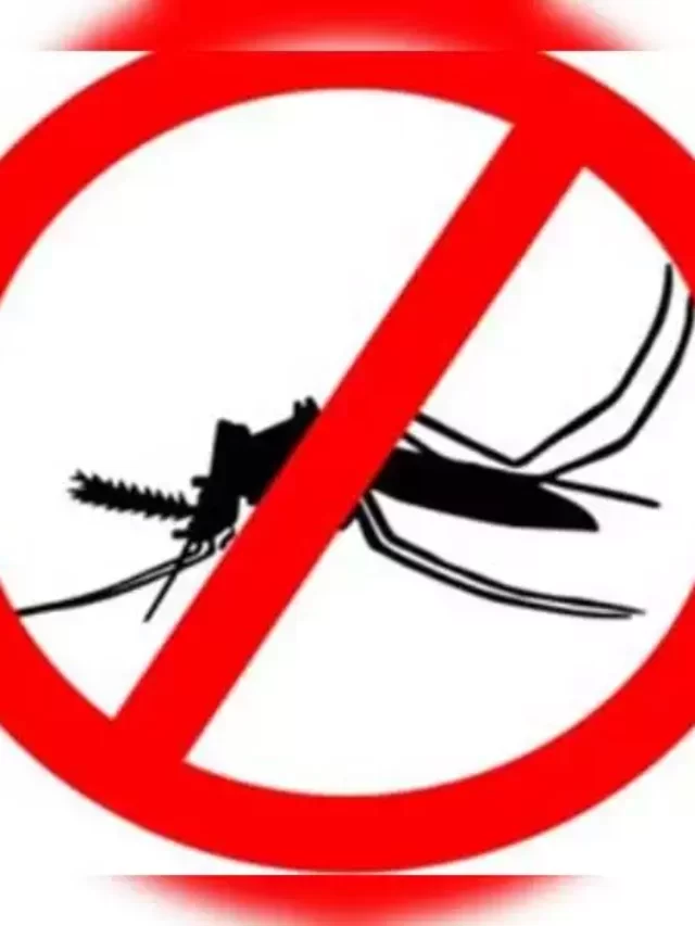 How To Prevent Malaria ?